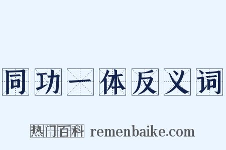 同功一体反义词是什么意思的图片